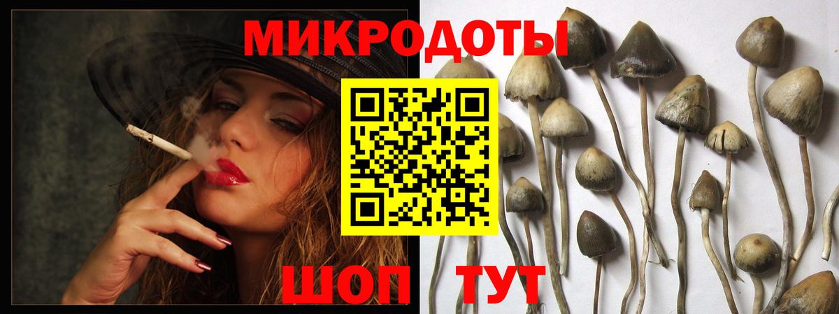 Калуга  что такое   Вход с VPN  Псилоцибиновые грибы MAGIC MUSHROOMS  Галлюциногенные грибы Magic Shrooms 
